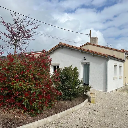 Domaine Des Pierres Blanches - Epargnes